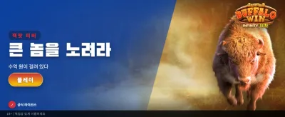 버팔로 윈: 거대한 승리를 잡으세요